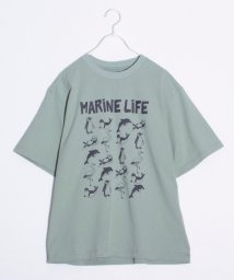 FREDYMAC(フレディマック)/【FREDYMAC/フレディマック】SYMBIOSIS/MARINELIFE プリントTシャツ マックT/ミントグリーン