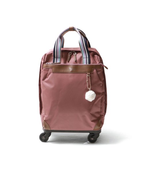 カナナプロジェクト コレクション キャリーバッグ 機内持ち込み ソフトキャリーケース 22L 4輪 エース キャリー 旅行 VYG アムローズTR 15246 