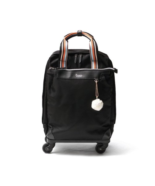 カナナプロジェクト コレクション キャリーバッグ 機内持ち込み ソフトキャリーケース 22L 4輪 エース キャリー 旅行 VYG アムローズTR 15246 