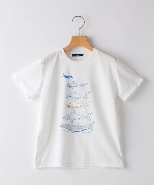 SHIPS KIDS(シップスキッズ)/SHIPS KIDS:140～160cm /〈接触冷感/吸水速乾〉シャーク フリーク TEE/オフホワイト