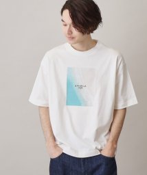 THE SHOP TK(ザ　ショップ　ティーケー)/【サスティナブル素材】FRESH NATUREデザイン刺繍Tシャツ プリント/オフホワイト（003）