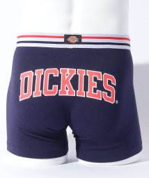 Dickies(Dickies)/Dickies Back college logo/ネイビー