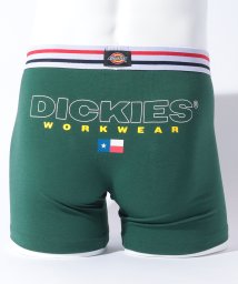Dickies(Dickies)/Dickies Texas flag/グリーン