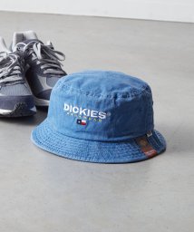 Dickies(Dickies)/Dickies EX BIO WASH BUCKET HAT/ブルー