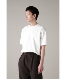 MARGARET HOWELL/FINE COMPACT COTTON JERSEY/505979856