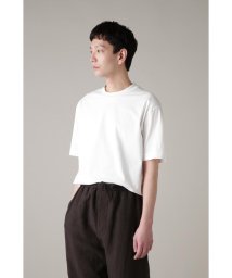 MARGARET HOWELL(マーガレット・ハウエル)/FINE COMPACT COTTON JERSEY/WHITE