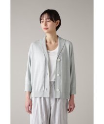 MARGARET HOWELL HOLD GOODS(マーガレット・ハウエル　ハウスホールドグッズ)/TWISTED LINEN COTTON/PALEGREEN1