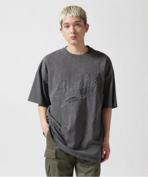 LHP(エルエイチピー)/DankeSchon/ダンケシェーン/PIGMENT LA S/S TEE/グレー