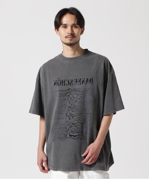 LHP(エルエイチピー)/DankeSchon/ダンケシェーン/PIGMENT PULSE S/S TEE/グレー