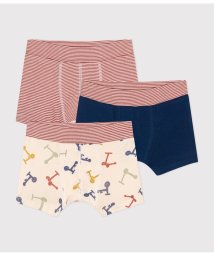 PETIT BATEAU/トランクス３枚組/505984702