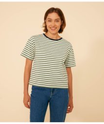 PETIT BATEAU(プチバトー)/ボクシーボーダー半袖Ｔシャツ/グリーン