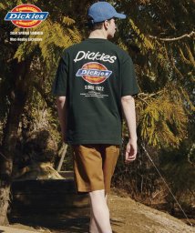 MAC HOUSE(men)(マックハウス（メンズ）)/Dickies ディッキーズ グラフィックプリント半袖Tシャツ 4278－9535/グリーン