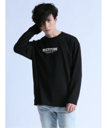 semanticdesign(セマンティックデザイン)/ローズ刺繍 クルーネック長袖Tシャツ/ブラック