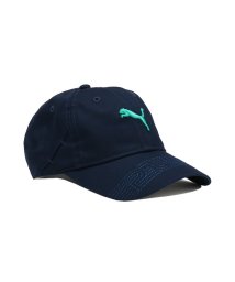 PUMA/ウィメンズ ゴルフ W ブリムステッチ キャットロゴ キャップ/505991238