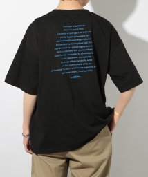 CONVERSE(CONVERSE)/【CONVERSE / コンバース】天竺 チャックテイラーグラフィック 半袖 Tシャツ オーバーサイズ バックプリント プリントT 4222－4800/ブラックその他2