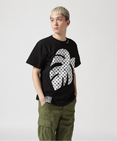 RoyalFlash(ロイヤルフラッシュ)/STUD MUFFIN/スタッドマフィン/Monstera SS TEE/ブラック