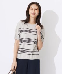 J.PRESS LADIES（LARGE SIZE）(J．プレス　レディス（大きいサイズ）)/【洗える】レーヨンエリートストレッチ ボーダー ドルマン ニット/グレージュ×ブラック系1