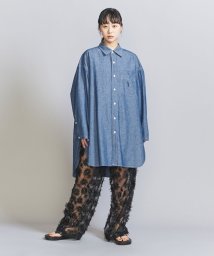 BEAUTY&YOUTH UNITED ARROWS/＜Americana＞スリット シャツワンピース/505977322