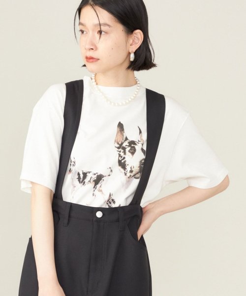 SHIPS WOMEN(シップス　ウィメン)/SHIPS NINE CASE:〈洗濯機可能〉GREAT DANE TEE ◇/ホワイト