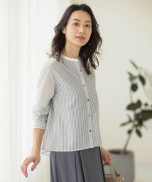 J.PRESS LADIES（LARGE SIZE）/シアーピンストライプ カットソー/506000335