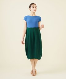 Sybilla(シビラ)/ホールガーメントバイカラーニットドレス/ブルー×グリーン