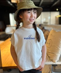 GROOVY COLORS(グルービーカラーズ)/テントスリーブ PUDDING Tシャツ/ホワイト