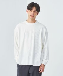 green label relaxing(グリーンレーベルリラクシング)/【WEB限定】＜GLR or＞ワイドリブ ロングスリーブ カットソー/WHITE