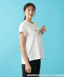 Leilian PLUS HOUSE(レリアンプラスハウス)/Ｔシャツ【Leilian WHITE LABEL】/アイボリー