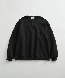 ADAM ET ROPE'(アダム　エ　ロペ)/【WEB限定】ヘビーウェイト ヘンリーネック ロングスリーブ Tシャツ / ルーズシルエット / ロングシーズン着用可能 / ユニセックス/ブラック（01）