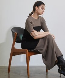 MIELI INVARIANT(ミエリ インヴァリアント)/Bicolor Bustier Knit Dress/モカ