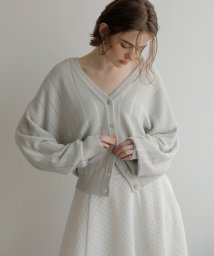 MIELI INVARIANT(ミエリ インヴァリアント)/Sheer Stripe Cardigan/グレー