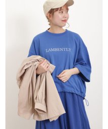 Samansa Mos2(サマンサ　モスモス)/【抗菌防臭】毎日着たい!お気に入りの刺繍T/ブルー