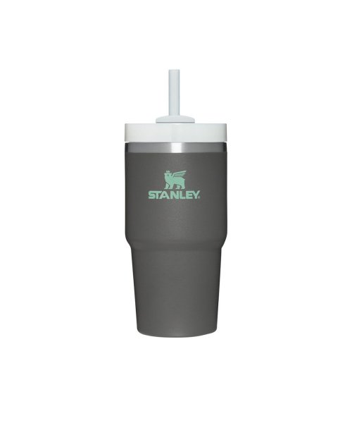 STANLEY(スタンレー)/【正規取扱店】 スタンレー タンブラー ストロー付き 蓋付き STANLEY 保冷 600ml H2.0 真空スリムクエンチャー 0.6L 10－10826/グレー