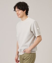 TAKEO KIKUCHI(タケオキクチ)/【Made in JAPAN】和紙 ボーダーニットTシャツ/アイボリー（304）