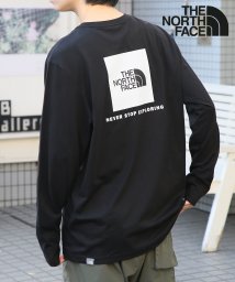 THE NORTH FACE(ザノースフェイス)/【THE NORTH FACE/ザノースフェイス】REDBOX L/S TEE NF0A493L ロンT 長袖 プリントT バックプリント ワンポイント/ブラック 