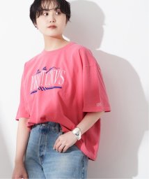 journal standard  L'essage /【PARROTT CANVAS/パロットキャンバス】ルーズ Tシャツ オン ザ ゴー/506006247