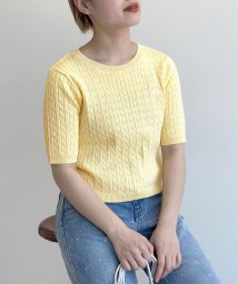 w closet(ダブルクローゼット)/ロゴ刺しゅう半袖ニットプルオーバー/イエロー