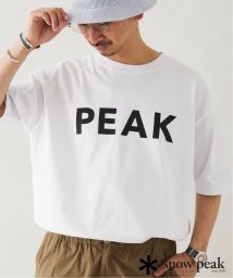 JOURNAL STANDARD relume Men's(ジャーナルスタンダード　レリューム　メンズ)/【SNOW PEAK / スノーピーク】別注 SP Logo Tシャツ/ホワイト