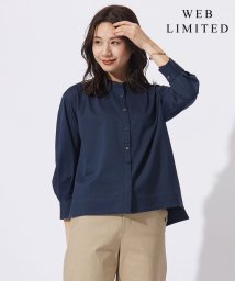 J.PRESS LADIES（LARGE SIZE）(J．プレス　レディス（大きいサイズ）)/【WEB限定カラーあり】ストライプジャカード バンドカラー カットソー/ネイビー系