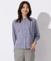 J.PRESS LADIES（LARGE SIZE）(J．プレス　レディス（大きいサイズ）)/【WEB限定カラーあり】ストライプジャカード バンドカラー カットソー/ネイビー系1