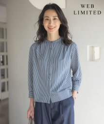 J.PRESS LADIES（LARGE SIZE）/【WEB限定カラーあり】ストライプジャカード バンドカラー カットソー/505928401