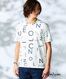 HIDEAWAYS NICOLE/【WEB限定】総柄プリント半袖Ｔシャツ/505992647