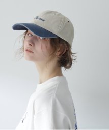 AVIREX/PIGMENT CAP/ピグメントキャップ/506007283