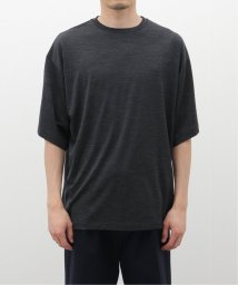 JOURNAL STANDARD(ジャーナルスタンダード)/KAPTAIN SUNSHINE / Super Soft Merino Tenjiku Halfsleeve Tee KSBSCS08/グレー