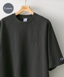 URBAN RESEARCH DOORS/【予約】『別注』Champion×DOORS　RAGLAN USA T－Shirts/506009687