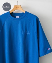 URBAN RESEARCH DOORS/『別注』Champion×DOORS　RAGLAN USA T－Shirts/506009687