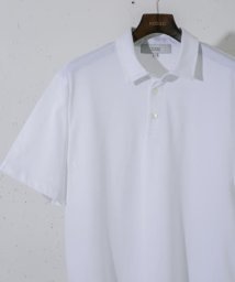 URBAN RESEARCH ROSSO(URBAN　RESEARCH　ROSSO（MEN）)/『XLサイズあり』JAPAN FABRIC ポロシャツ/WHITE