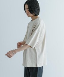 URBAN RESEARCH(アーバンリサーチ)/USAコットンバスクTシャツ/OFF/BEIGE