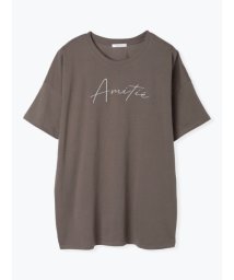 Ludic Park(ルディックパーク)/【接触冷感】AMITIE BIGTシャツ/茶