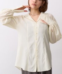 DRESSTERIOR/CODE A｜sheer long shirt/506010056